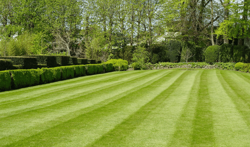 LAWN CARE