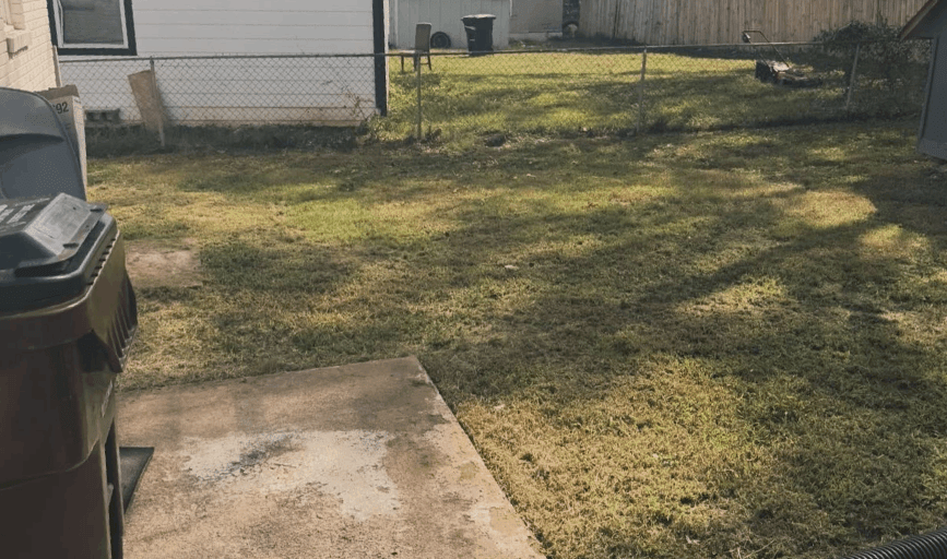 YARD CLEANUP